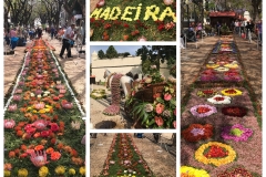 Blumenfest_2017