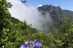 Encumeada, teilweise im Nebel